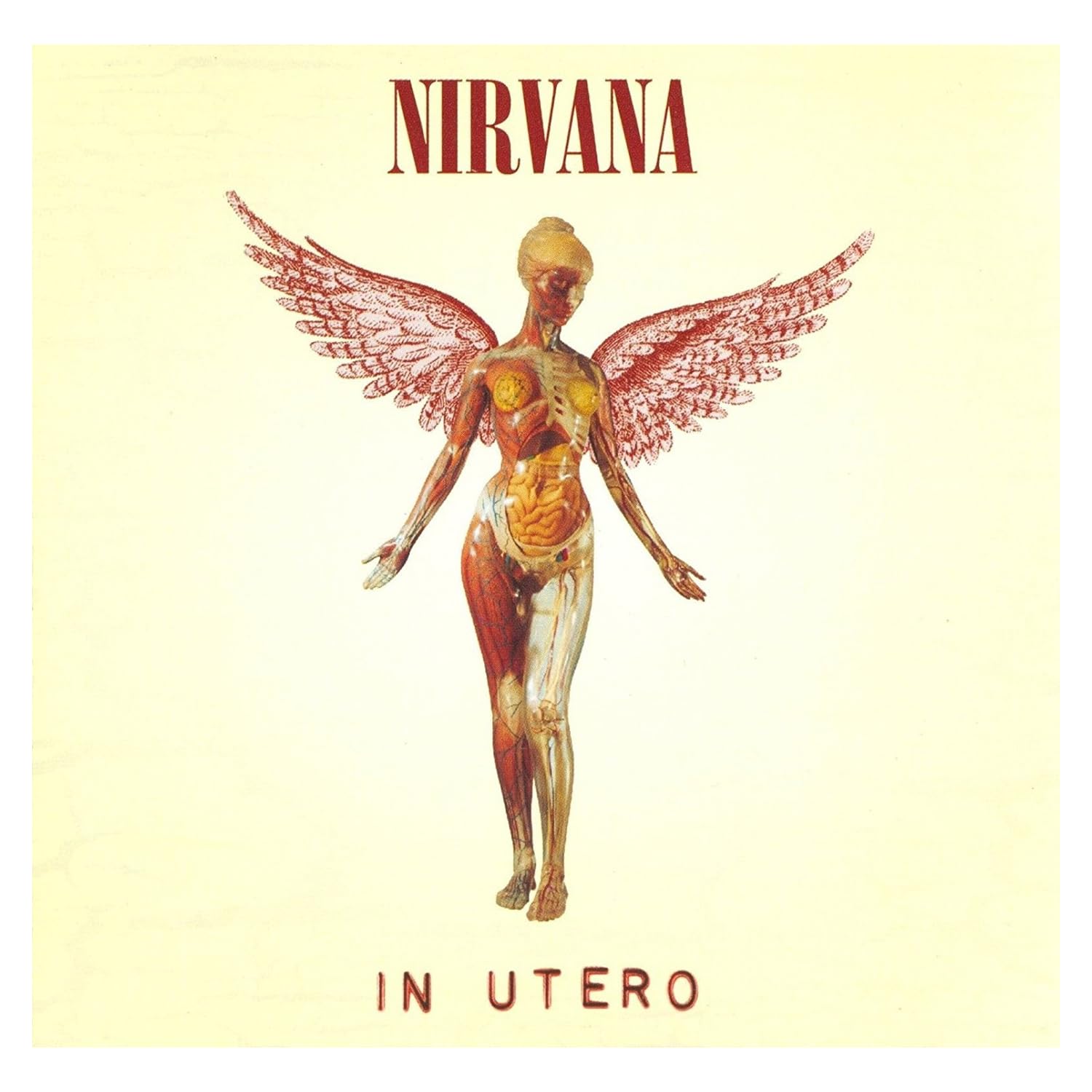 Amazon.com: Merchandising Nirvana (In Utero) Maxi Poster